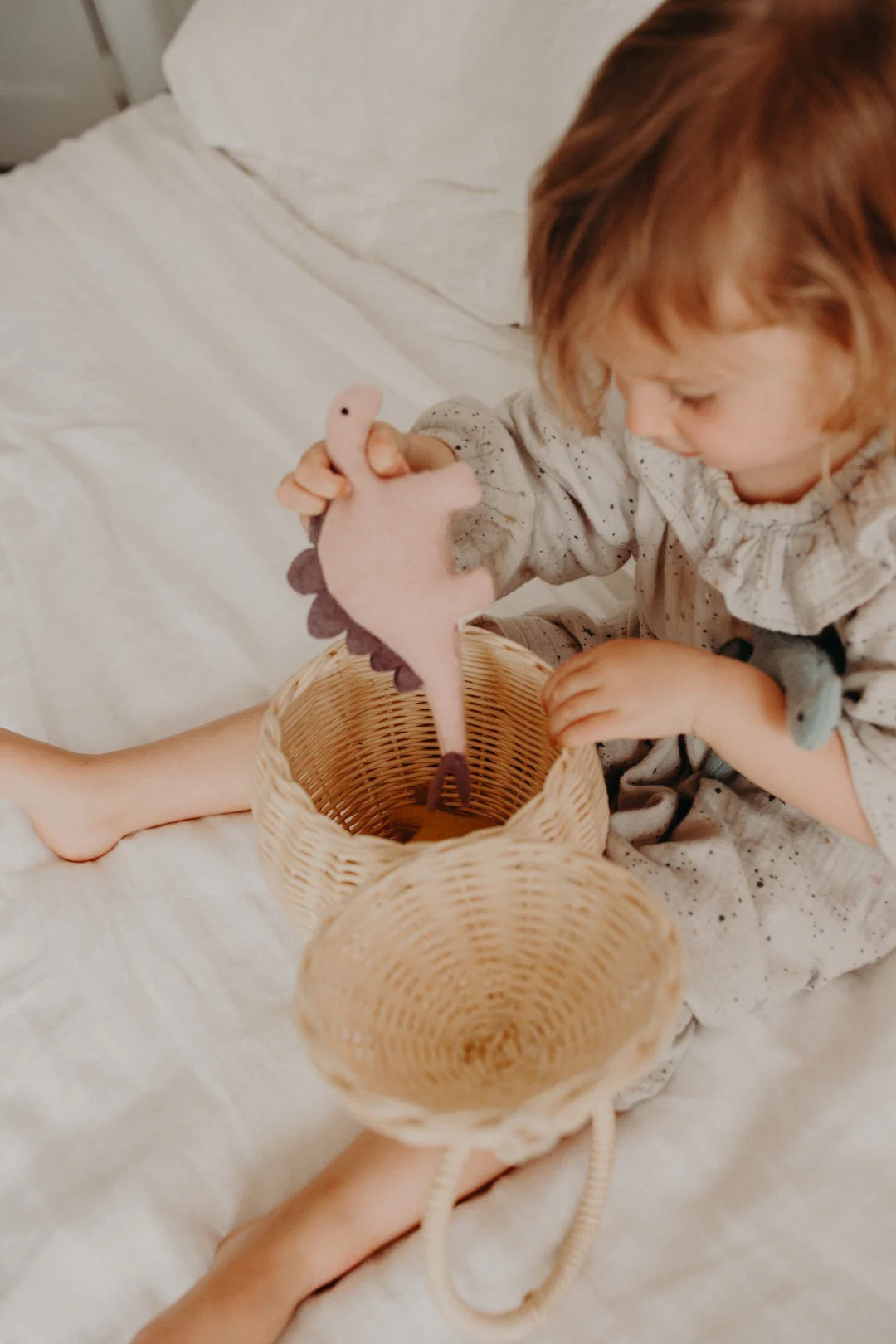 Holdie - Dinosaurs - Image 5