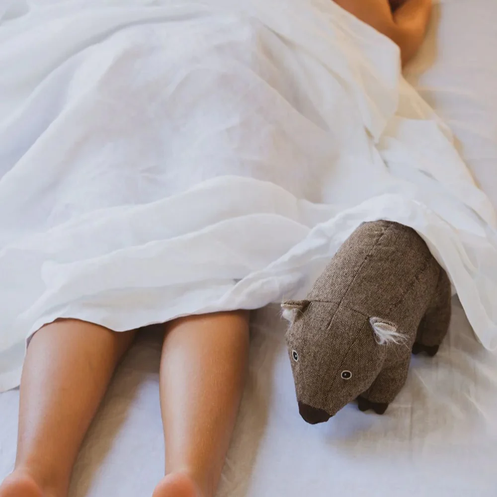 Wally the Wombat - Image 3